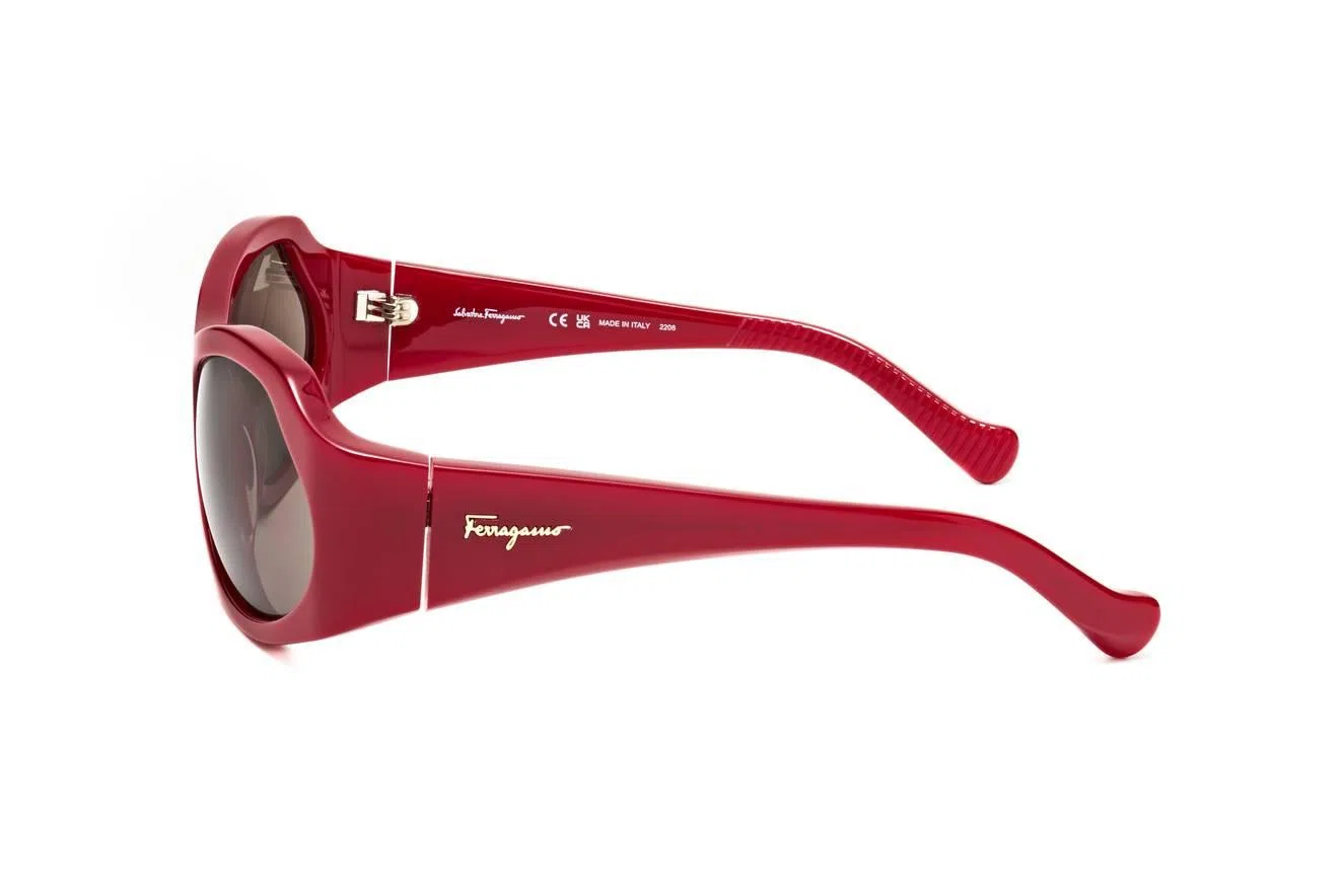 Ferragamo SF1078S Sunglasses - view 6